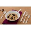 imageOneida Paul Revere Fine Flatware Feeder Spoon 004 LB MetallicSet of 4