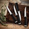 imageHampton Forge EpicurePistachio17Piece BlockSet 17Piece PistachioSteak Knives  Set of 4