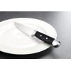 imageOneida Jumbo 4pc Steak Knife SetKNIFE