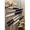 imageHampton Forge  Atlantis  20 Piece Knife Block Set