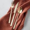 imageOneida 897338 Robyn 20Piece Flatware SetChampagne Mist