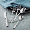 imageOneida 897338 Robyn 20Piece Flatware SetSilver