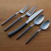 imageOneida B1010020Al20 Adjacent Midnight 20 Piece Everyday Flatware Set Service For 420Piece Flatware Set  Midnight