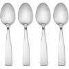 imageHampton Forge Bristol Satin 4Pk Dinner SpoonsColor Card 035 LB MetallicDinner Spoons  Set of 4