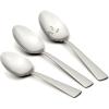Serving Spoons  Set of 3