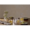image:imageOneida Drinkware Apollo 5Piece Whiskey Decanter amp Glass Set Set of 4 Glass Material Bar Accessories Glassware Cocktail Drinking Glasses Whiskey Home Clear 5 Pieces 105 Oz And 25 Oz